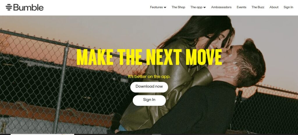 Bumble home screen for blog
